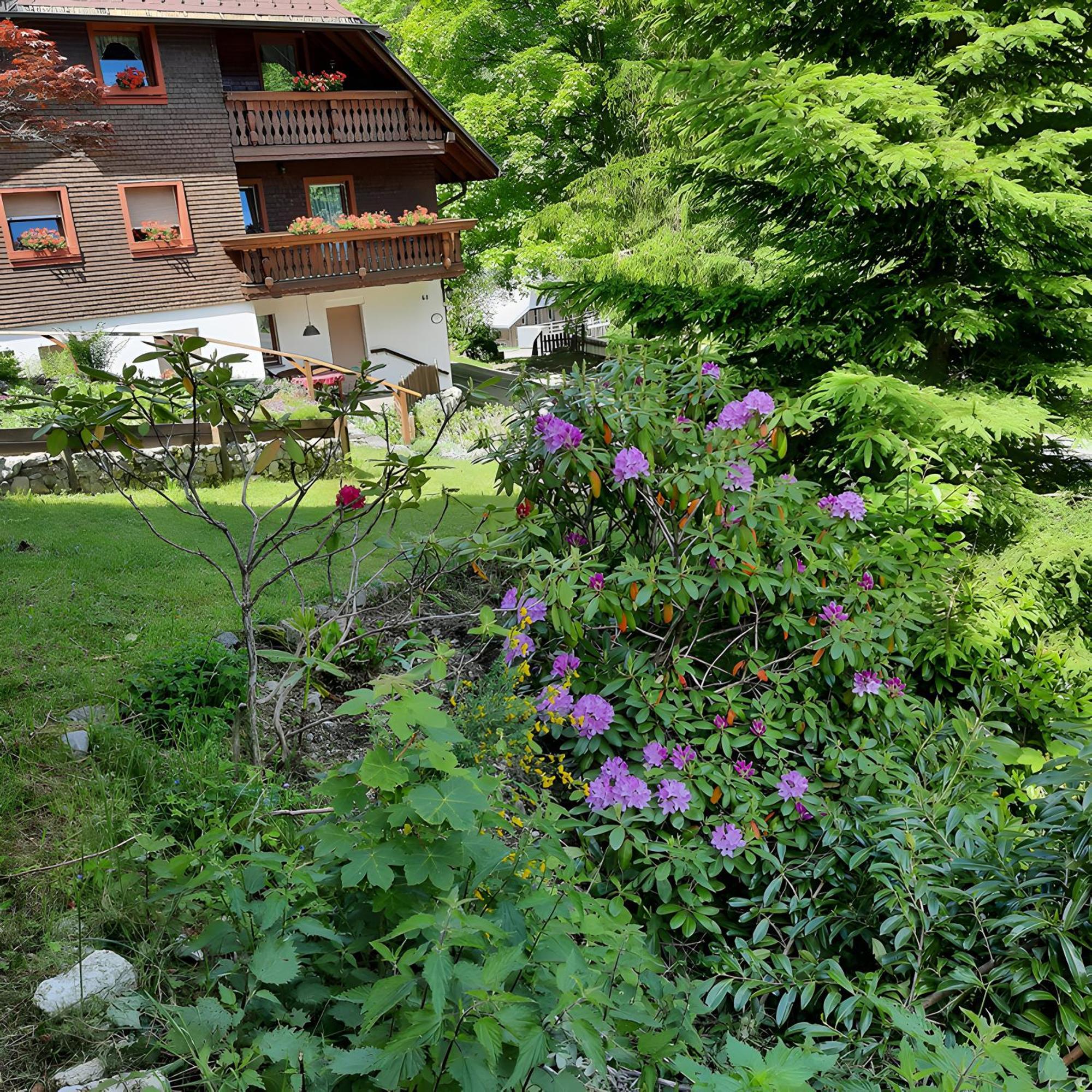 Haus Maria Lägenhet Todtnau Exteriör bild