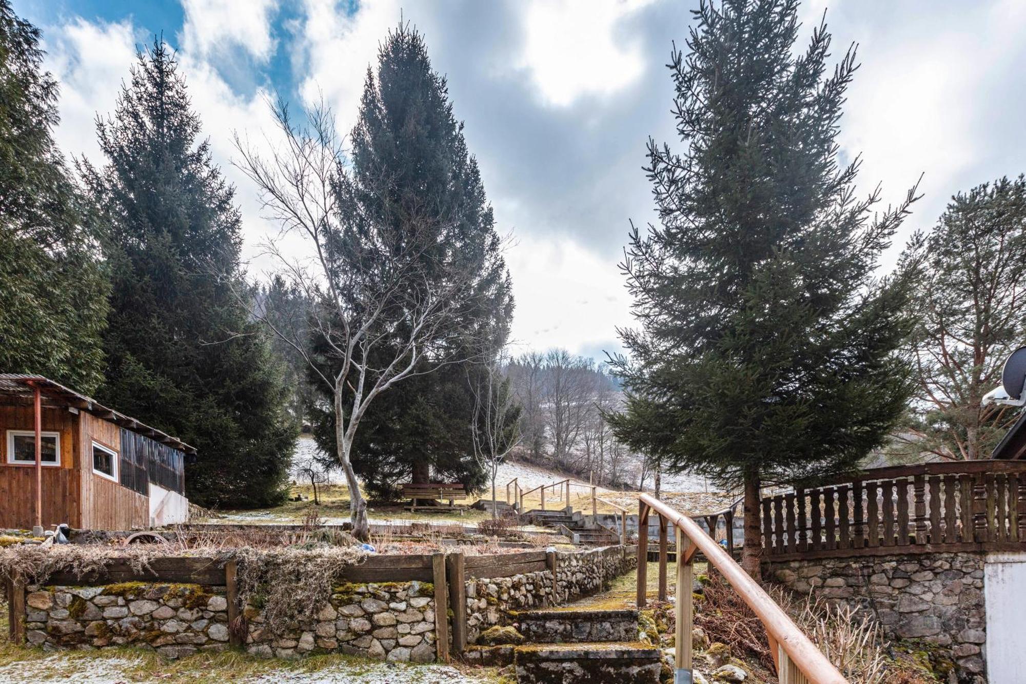 Haus Maria Lägenhet Todtnau Exteriör bild