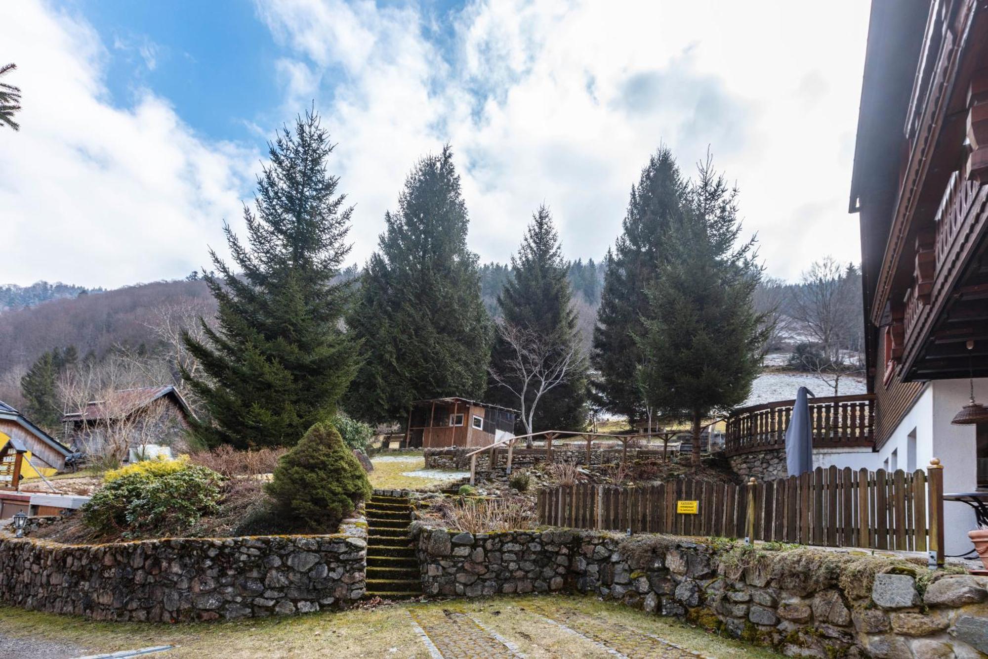 Haus Maria Lägenhet Todtnau Exteriör bild
