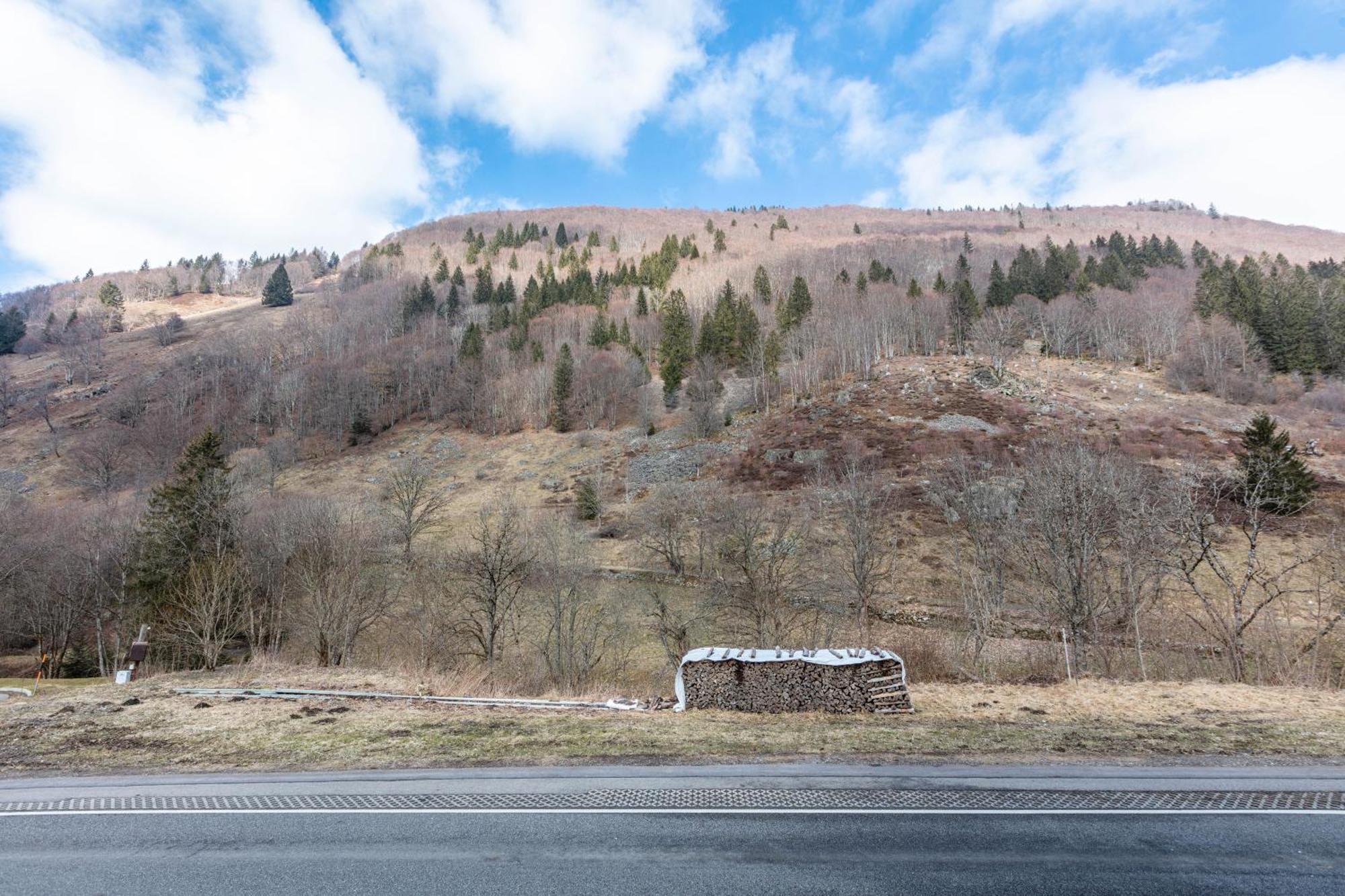 Haus Maria Lägenhet Todtnau Exteriör bild